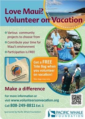 Pacific Whale Foundation Volunteer