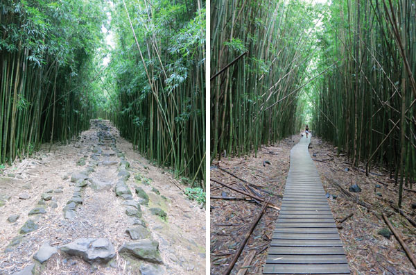Bamboo Forest pathway to Waimoku Falls - Pipiwai Trail on Maui