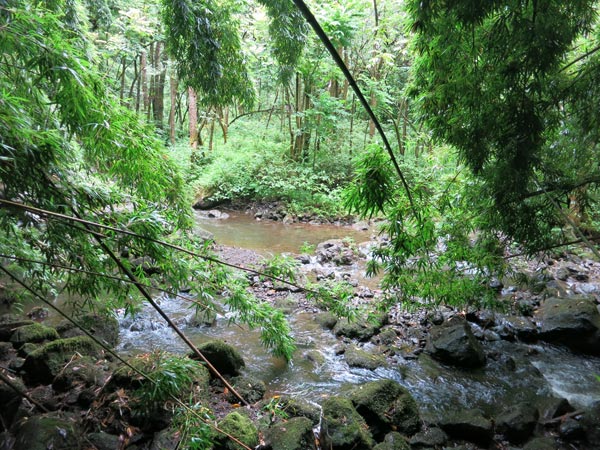 Pipiwai Trail on Maui