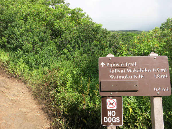 Pipiwai Trail on Maui