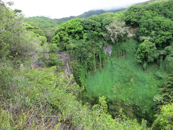 Pipiwai Trail on Maui