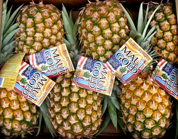 Maui Gold Pineapples