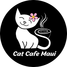 Cat Café Maui Nominated for USA Today’s 10 Best — Vote Daily!