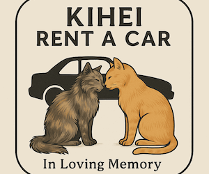 In Loving Memory of Lilly, Our Beloved Cat Colony Matriarch